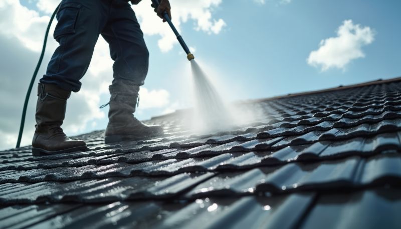 How Professional Roofing Services Improve Home Value